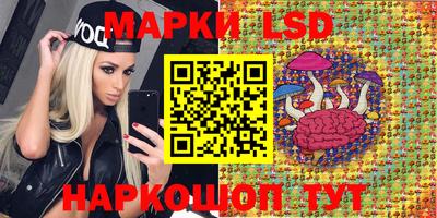 гашик Дубна
