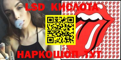бошки Сланцы