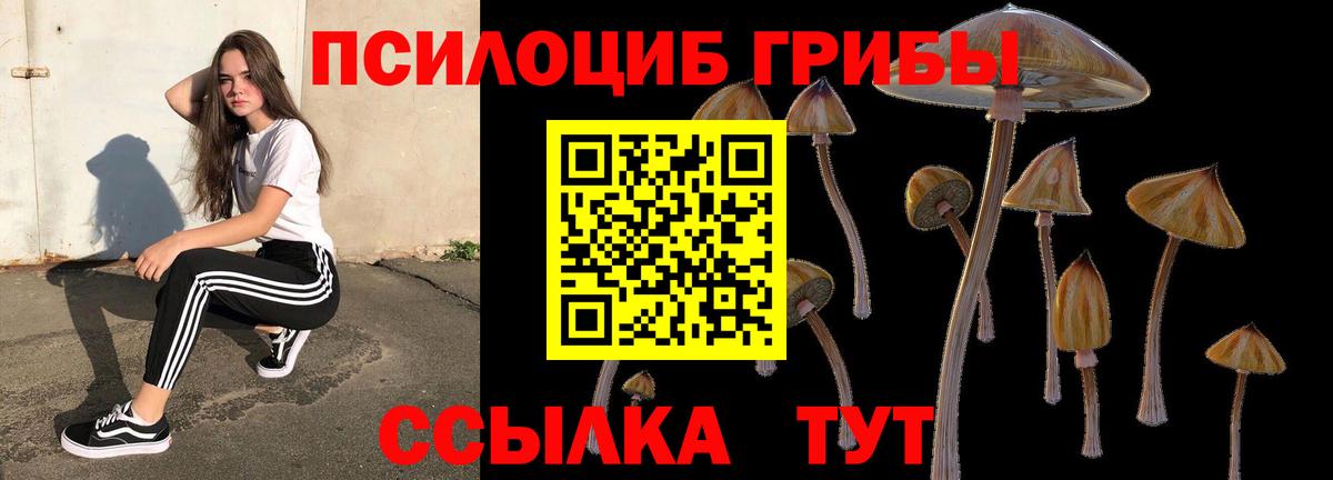 Псилоцибиновые грибы мухоморы  Вход с VPN  Галлюциногенные грибы Psilocybine cubensis  Саяногорск 